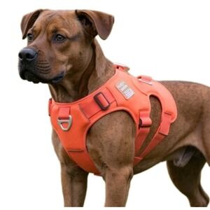 Arcadia Trail Neoprene Dog Harness Coral Reflective Water-Resistant Size XXL NEW